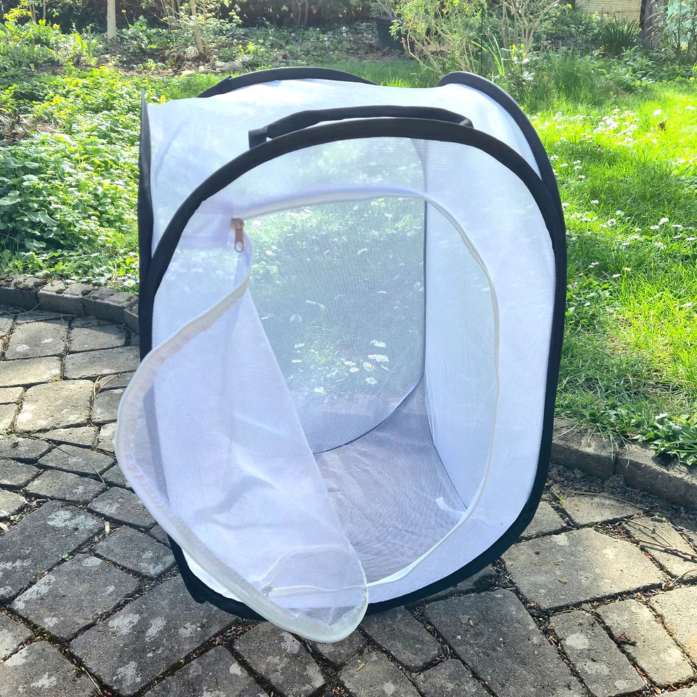 Miniaturbild: Netzkäfig 40x40x60 weiß