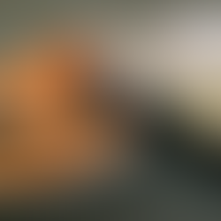 La boutargue dans tous ses étals