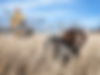 Untitled design (10).png
