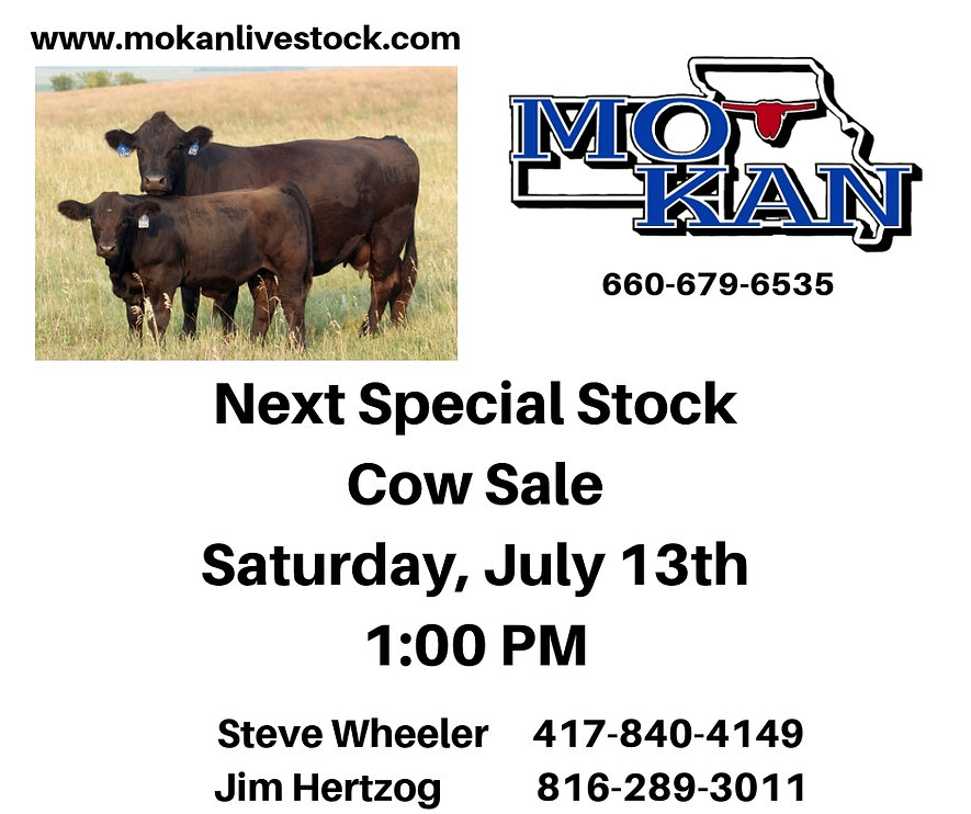 Cattle MoKan Livestock Missouri United States