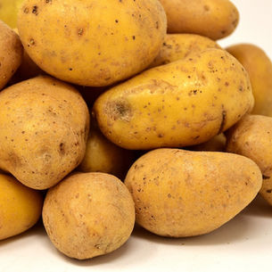 Diversifikasi Tanaman: Kunci Keberlanjutan Pertanian