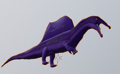spino_edited.jpg
