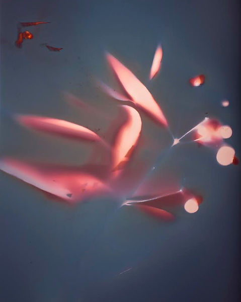 18065850775390486.jpg