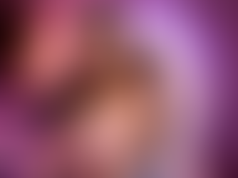 Estructura plan de trabajo día modelo webcam