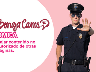 DMCA: Como bajar contenido no autorizado de otras páginas.