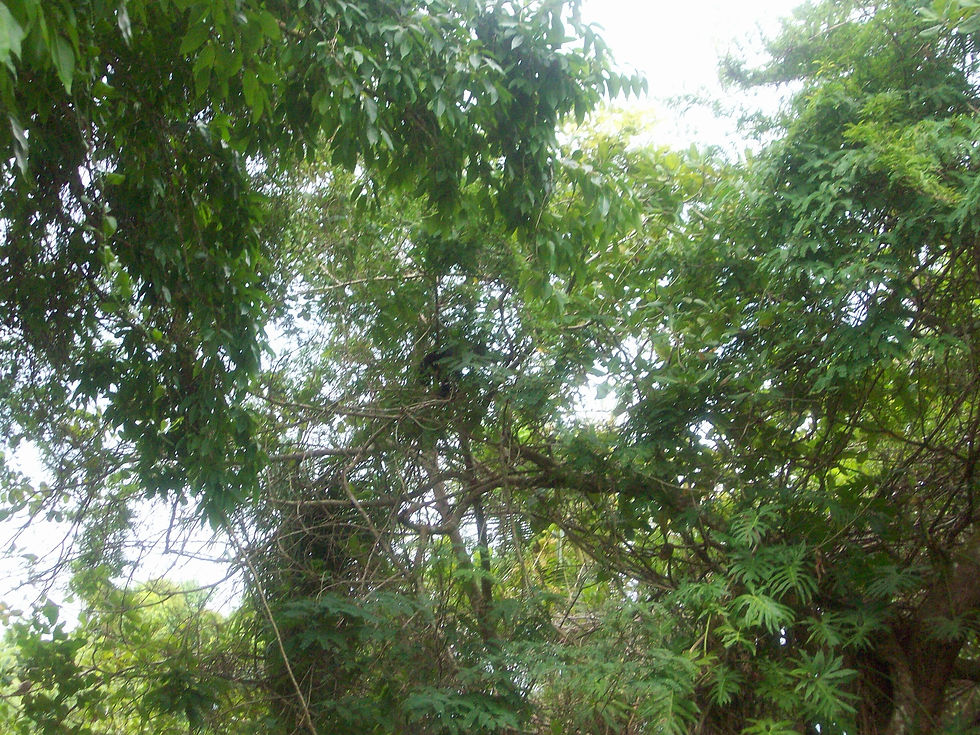 100_9675.JPG