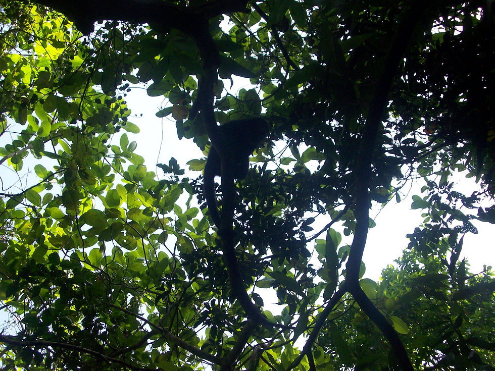 100_9522.JPG
