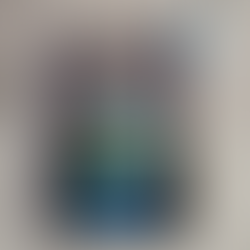 RECENSIONE: Hai presente Liam Neeson? (Roberta Lepri)