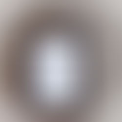 RECENSIONE: Il Signore di Notte (Gustavo Vitali)