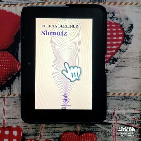 RECENSIONE: Shmutz (Felicia Berliner)