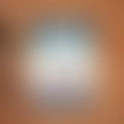 RECENSIONE: La scoperta di Troia (Emiliano Barletta, Chiara Raimondi)