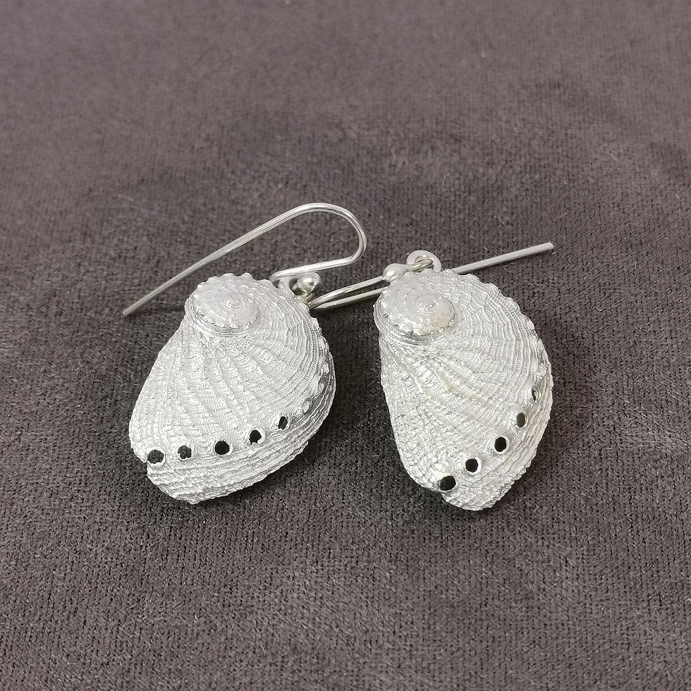 Pacific Abalone Shell Earrings