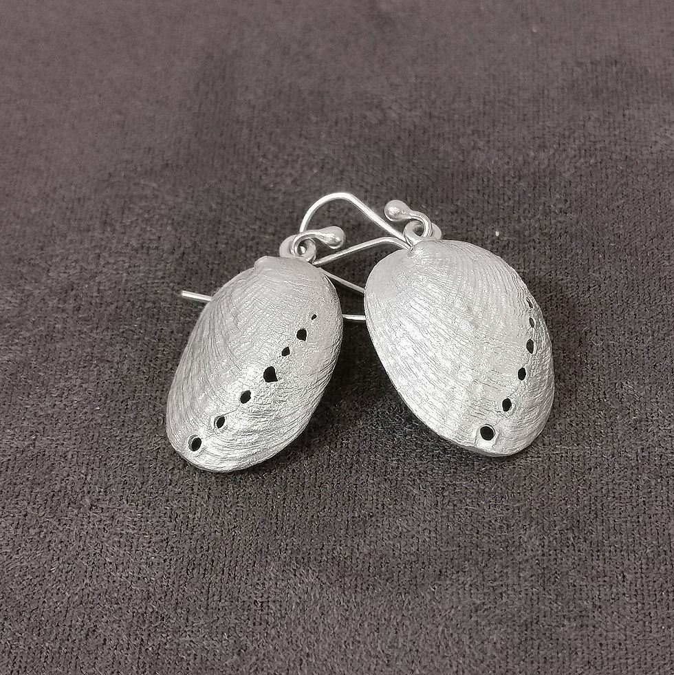 Paua Shell Earrings large