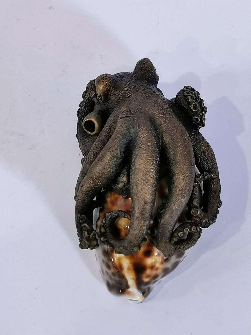 Tiny Octopus 3