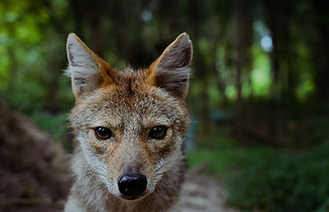 DSC_2296_edited.jpg