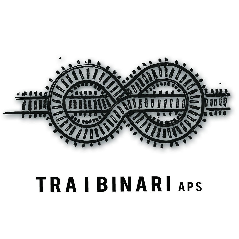 LOGO TRA I BINARI