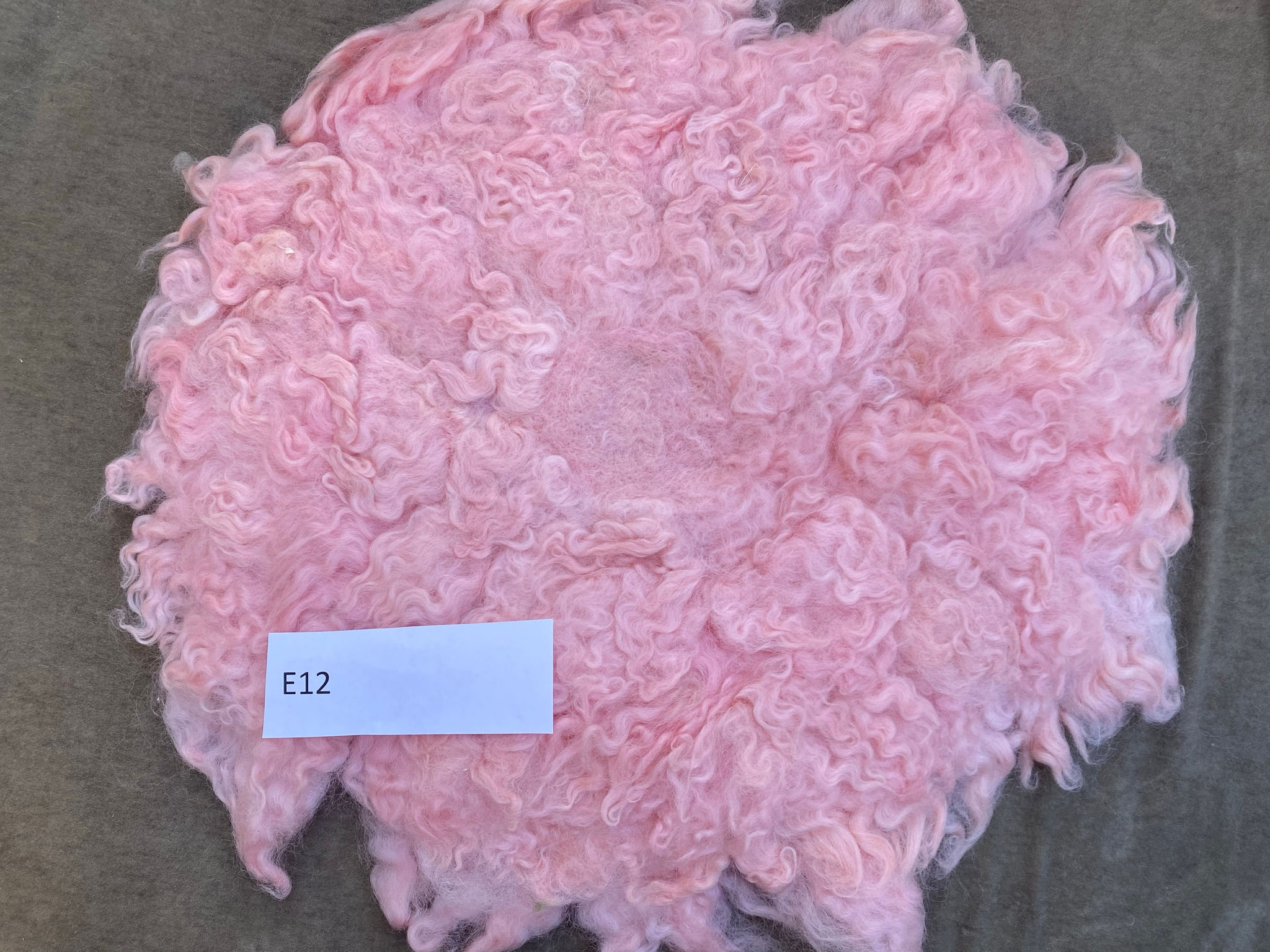 Curly felt・カーリフェルト＃48