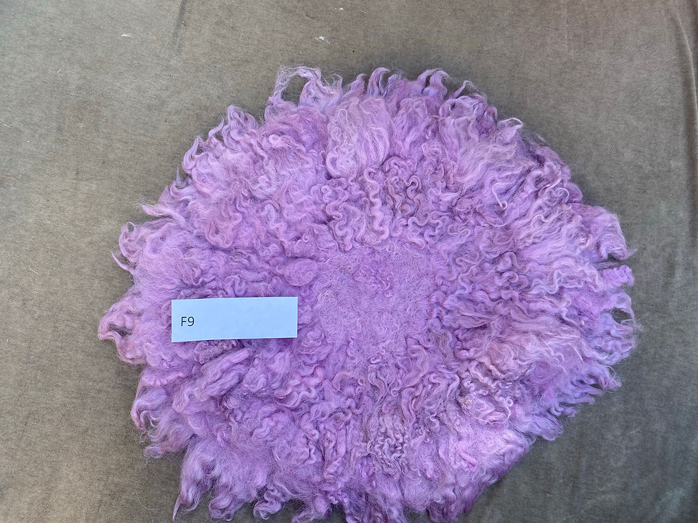 Curly felt・カーリフェルト#65