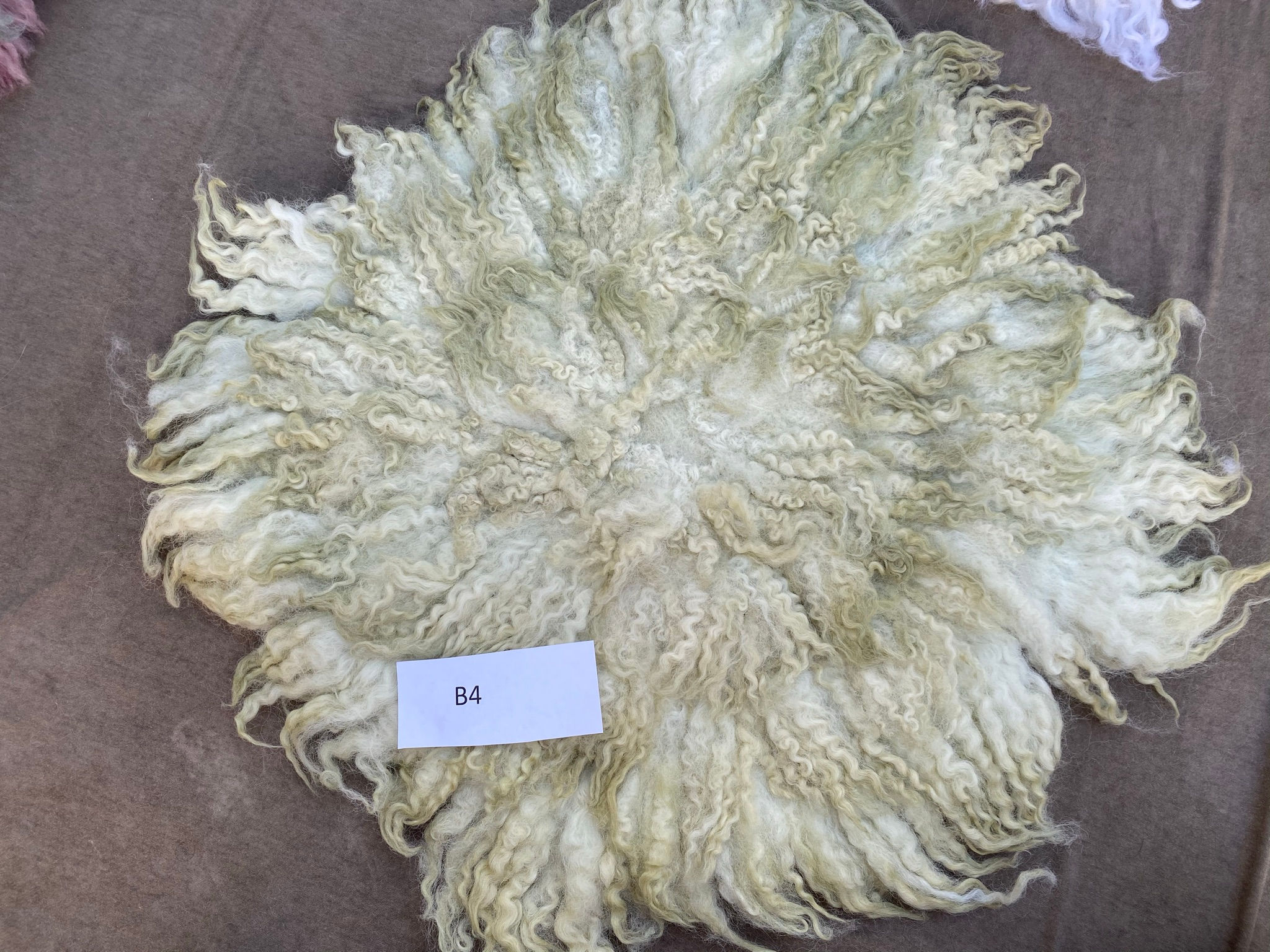 Curly felt・カーリフェルト＃108