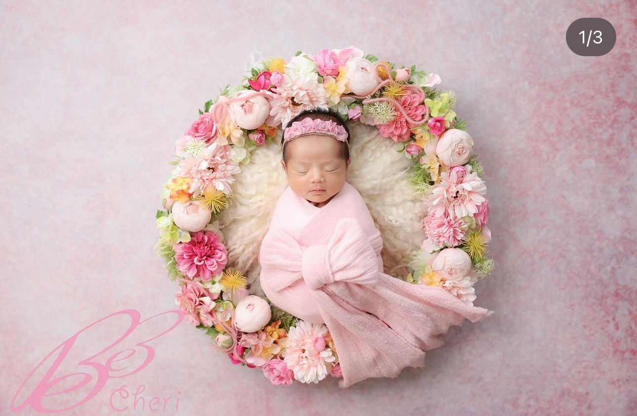 購入又はレンタルをお選びください・背景布・無地・#B43