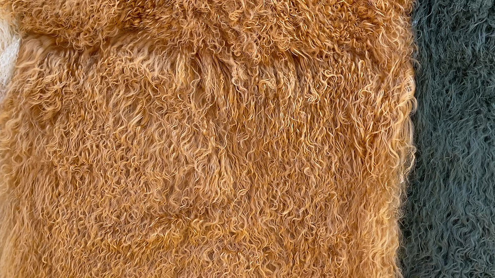 サムネイル： Fluffy fur #23