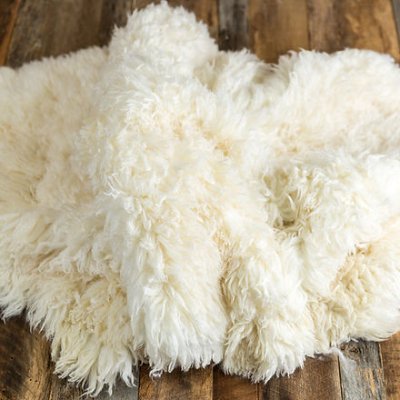 flokati fur・90x150センチ特大Flokati羊毛 | Mimosahouse24