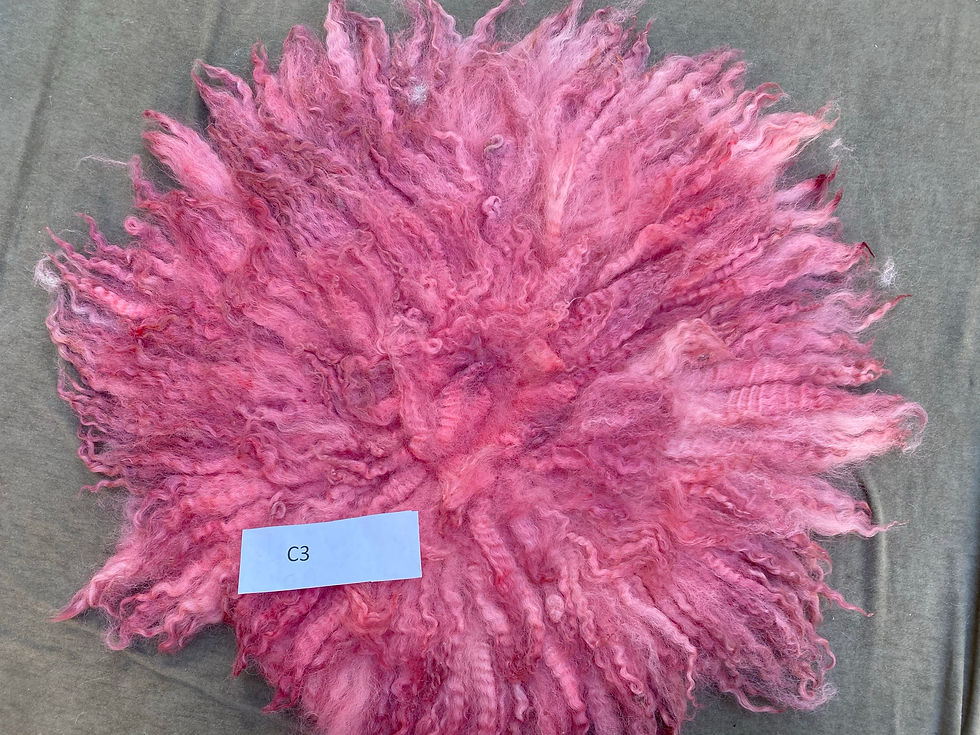 curly felt・カーリフェルト＃30