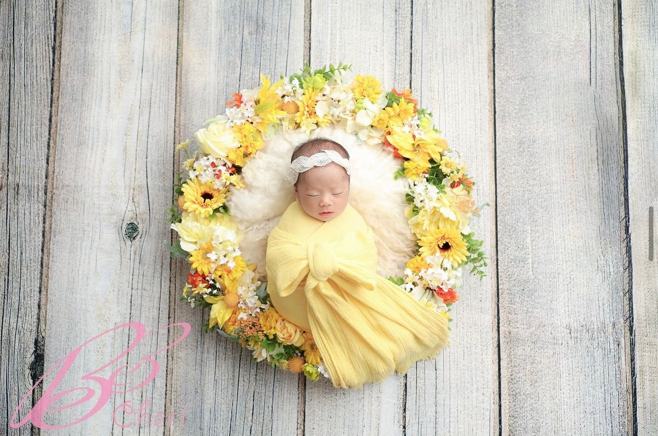 購入又はレンタルをお選びください・背景布・木目・ #B13