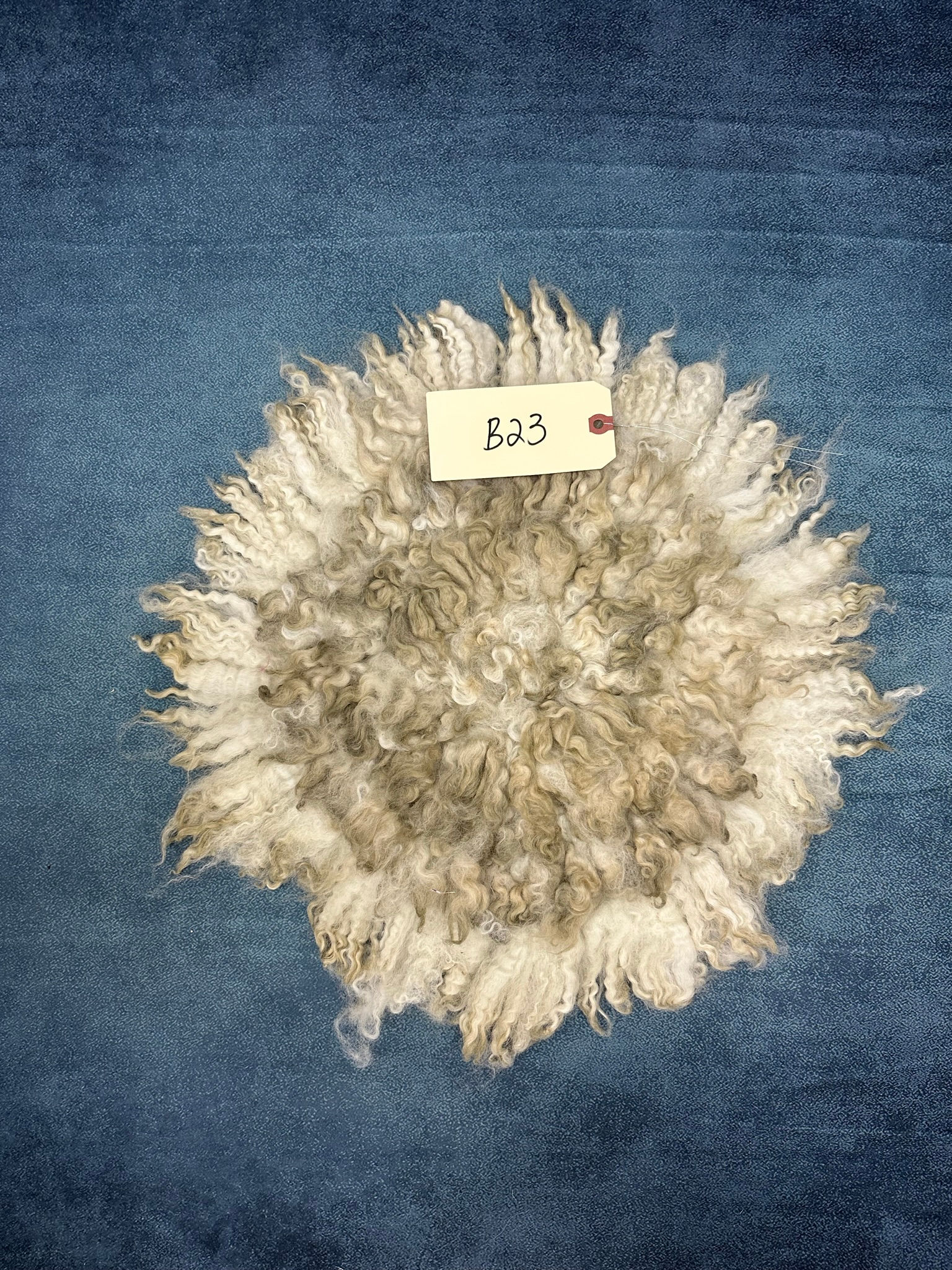 在庫ござます・カ１枚のみーリフェルト・Curly felt