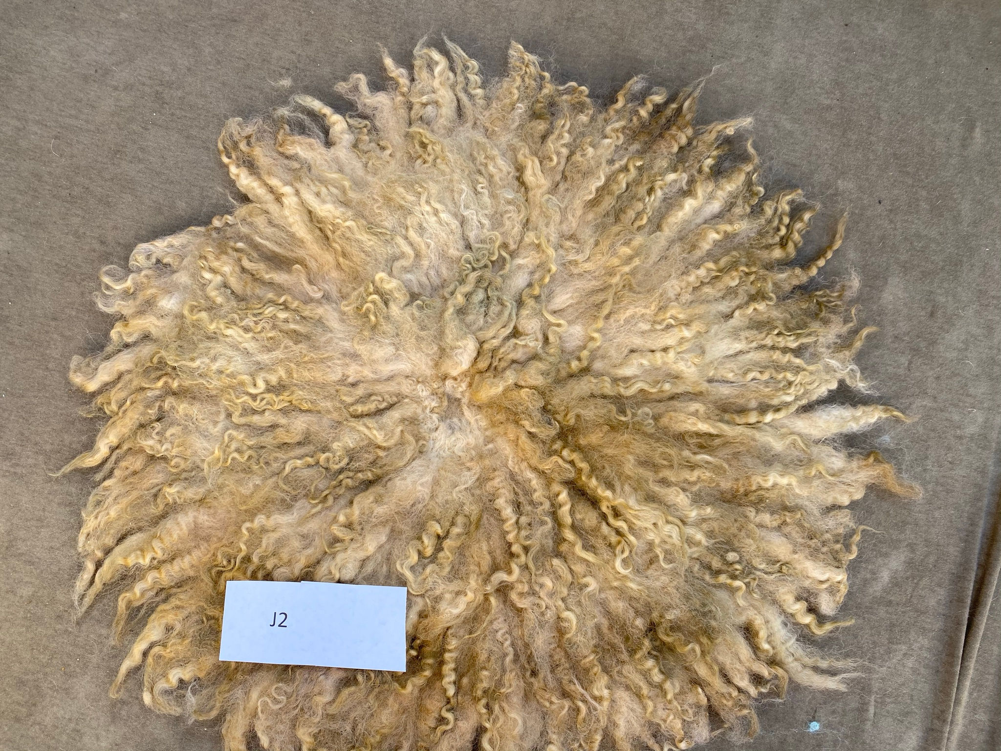 Curly felt・カーリフェルト＃130