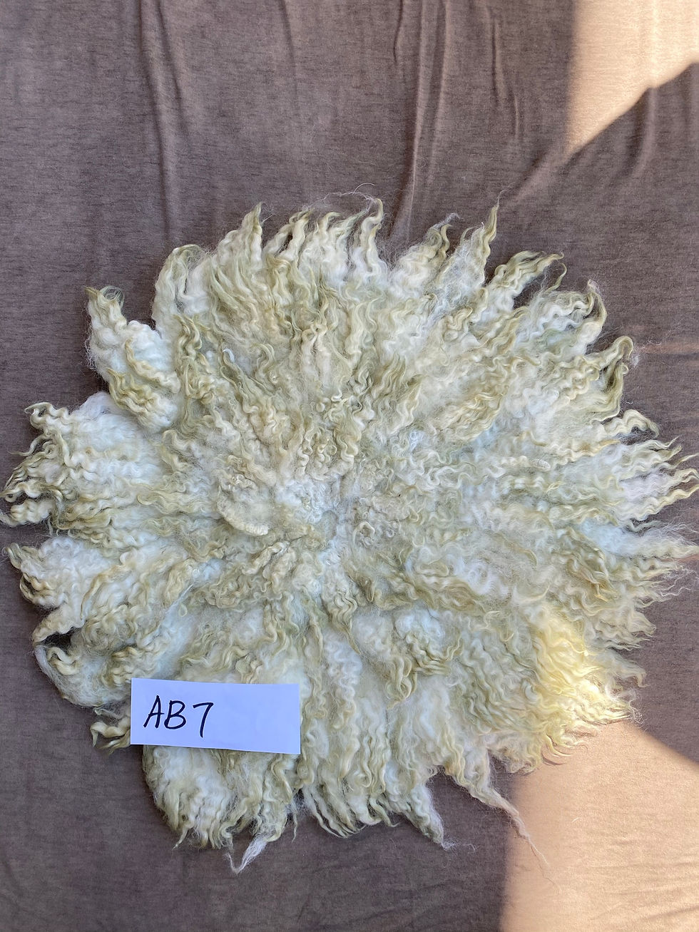 カーリフェルト・Curly felt #A1