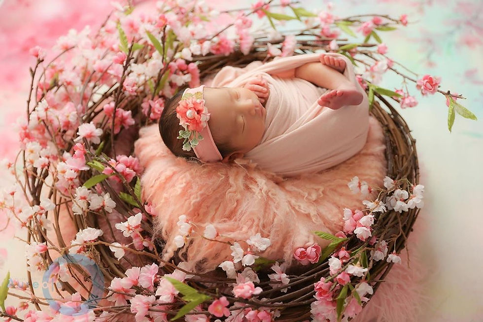 サムネイル： Newborn headband・ヘッドバンドサンプル写真のみ・購入はできません＃５