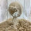 サムネイル： Newborn Bonnet・温もりボンネット＃F