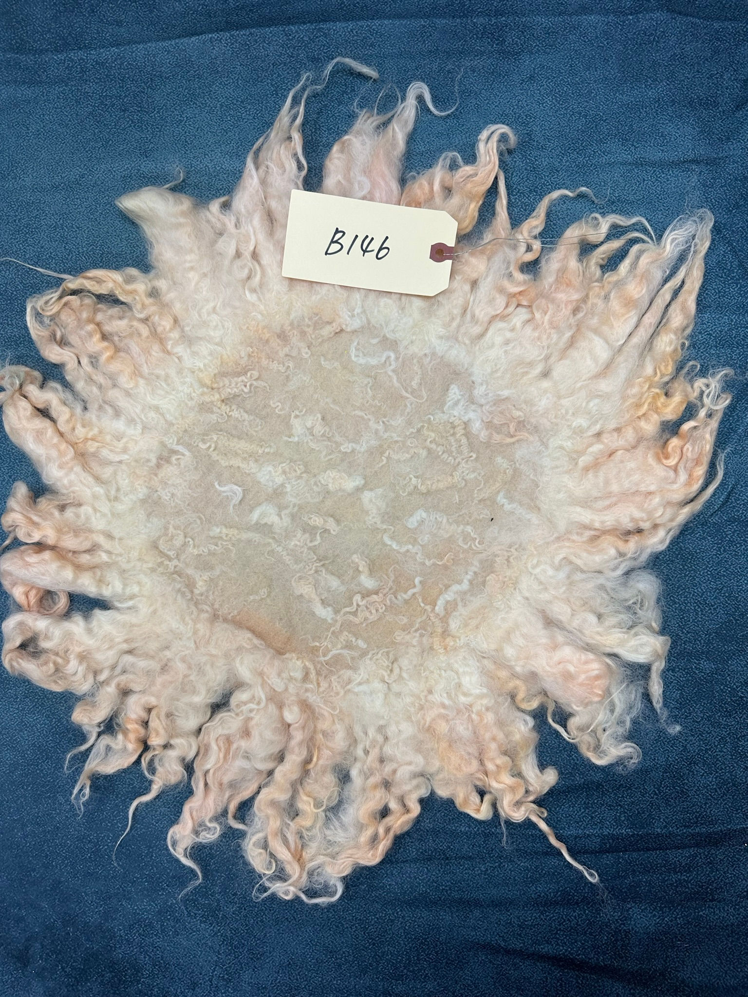 在庫ございます・カ１枚のみーリフェルト・Curly felt