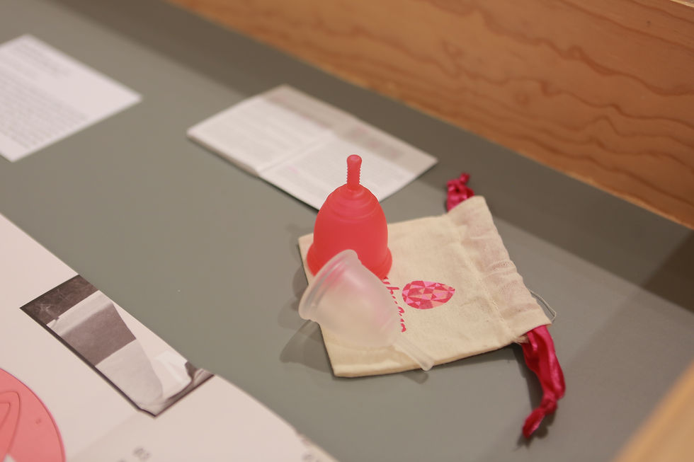 Exposición Haré lo que deseo"