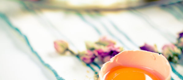 吐司利亞的好好好食材－「壞蛋，走開！」