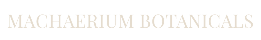 TEMPLATE MESTRE FEED - MACHAERIUM BOTANICALS (4)_edited.png