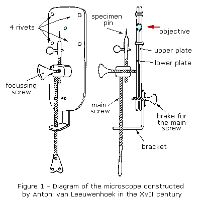 Carboni, Giorgio. Diagram of the Microscope Constructed by Antonia Van Leeuwenhoek in the XVII Century. n.d. Photograph.