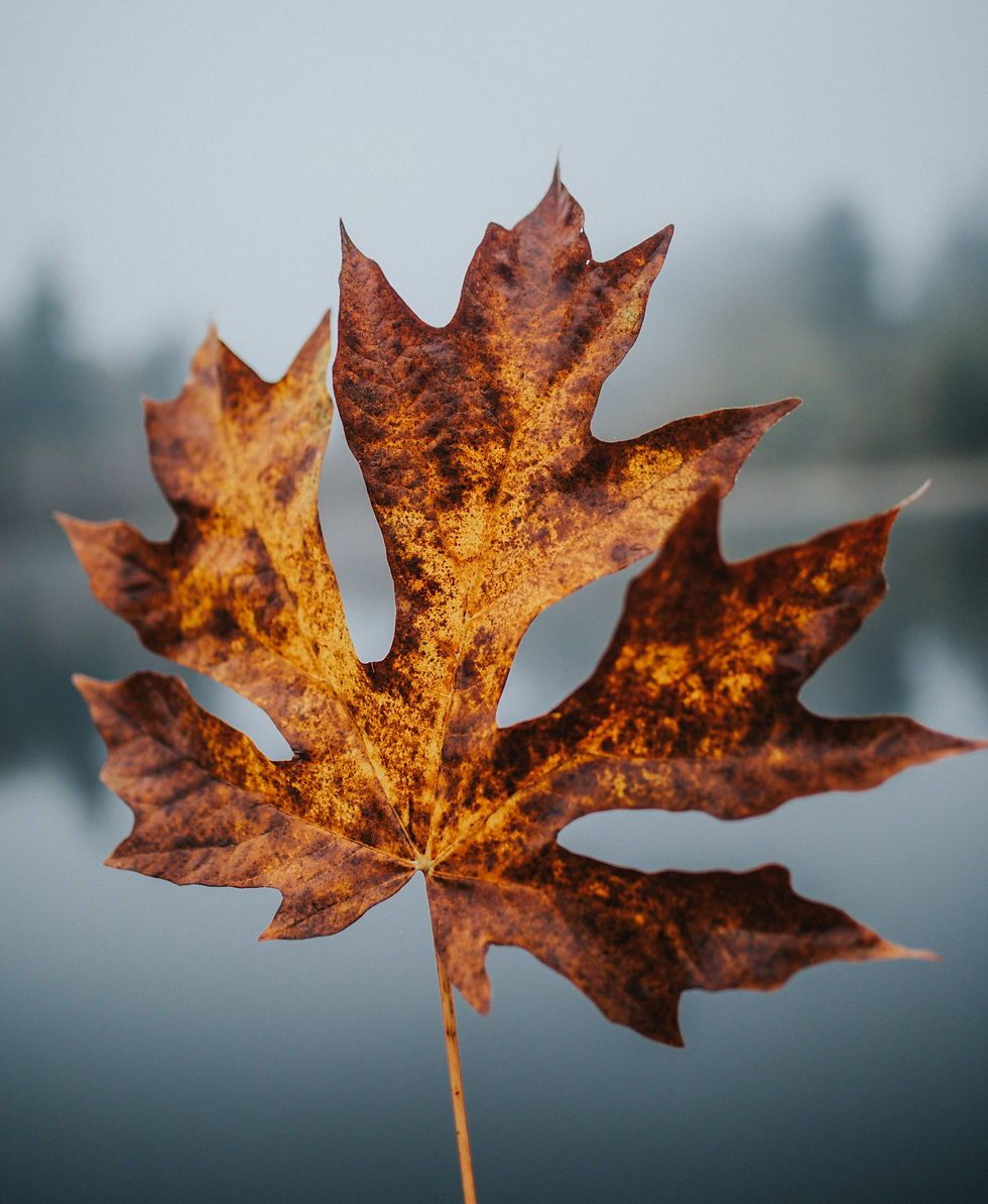 deinen Start in den Herbst gestaltest