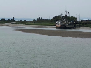 The Neglect of Secondary Channels: A Growing Risk for Navigation Safety and Ecology