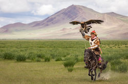 Eagle Hunter, Mongolia 2019