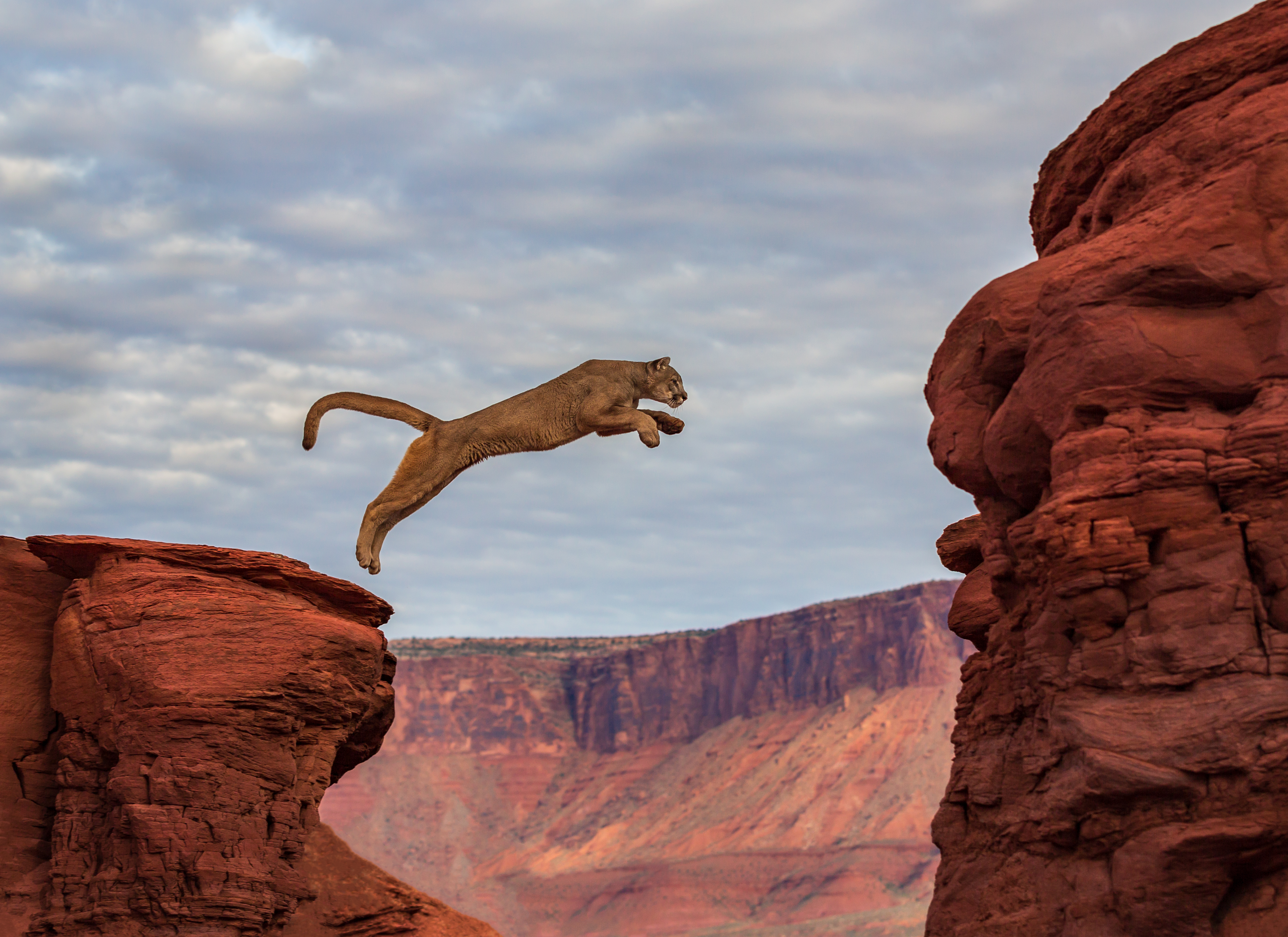 Leap of Faith