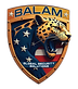 LOGO BALAM TRANSPARENTE OFICIAL.png