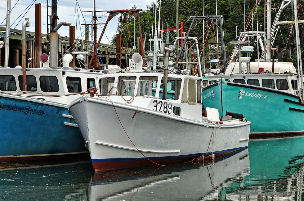 North Road Wharf Campobello Island