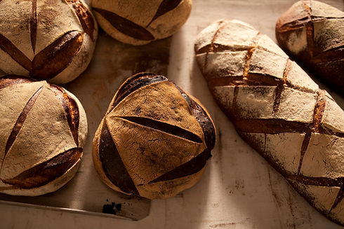 IMG_6606 - copie 2.jpg