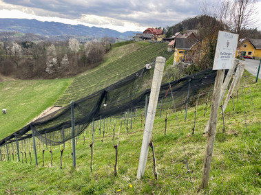 Südsteiermark, Weinwanderweg, Social Media Boutique, Sonja Parapatits, Kathi Wiltschnig 