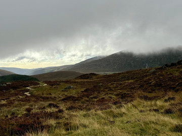 Irlandrundreise, GTA Touristik, Tourism Ireland, Irland, Sonja Parapatits, Social Media Boutique 