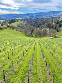 Weingut Hotel Mahorko, Social Media Boutique, Sonja Parapatits, Kathi Wiltschnig