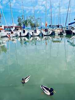 Balaton, Social Media Boutique, Plattensee, South Part Silver Beach Apartment, Sonja Parapatits 
