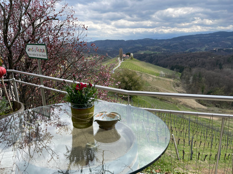 Südsteiermark, Weinwanderweg, Social Media Boutique, Sonja Parapatits, Kathi Wiltschnig 